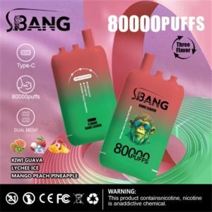 kiwi passion fruit guava - lychee ice - mango peach pineapple bang leader 80000