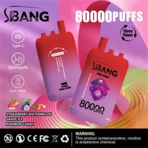 strawberry watermelon - grape ice - rainbow candy bang leader 80000 Puff