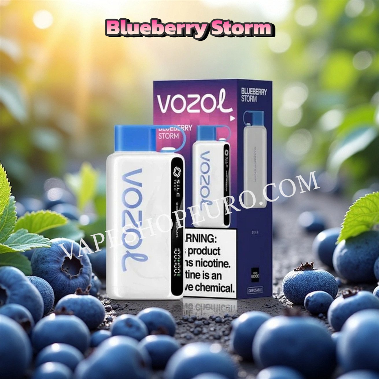 Blueberry Storm Vozol Star 12000 Puff Vsedehhvs12000