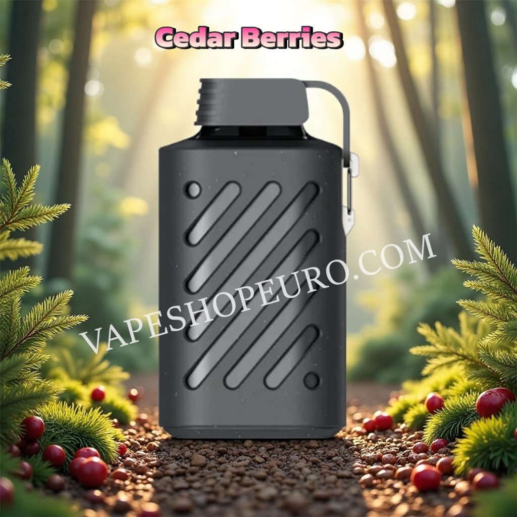 Cedar Berries Vozol Gear 10000 Vape Vsedehhvg10000