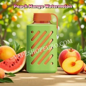 Peach Mango Watermelon Vozol Gear 10000 Puffs Vsedehhvg10000