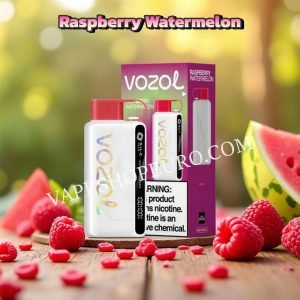 Raspberry Watermelon Vozol Star 12000 Vsedehhvs12000
