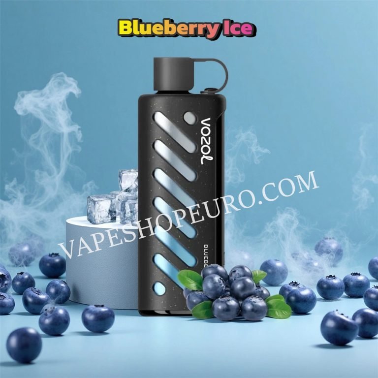 Blueberry Ice Vozol Gear Shisha 25000 Vsedehhvgs25000
