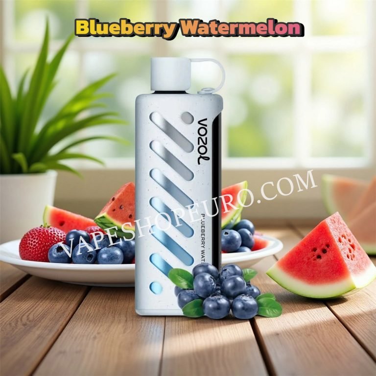 Blueberry Watermelon Vozol Gear Shisha 25000 Vsedehhvgs25000