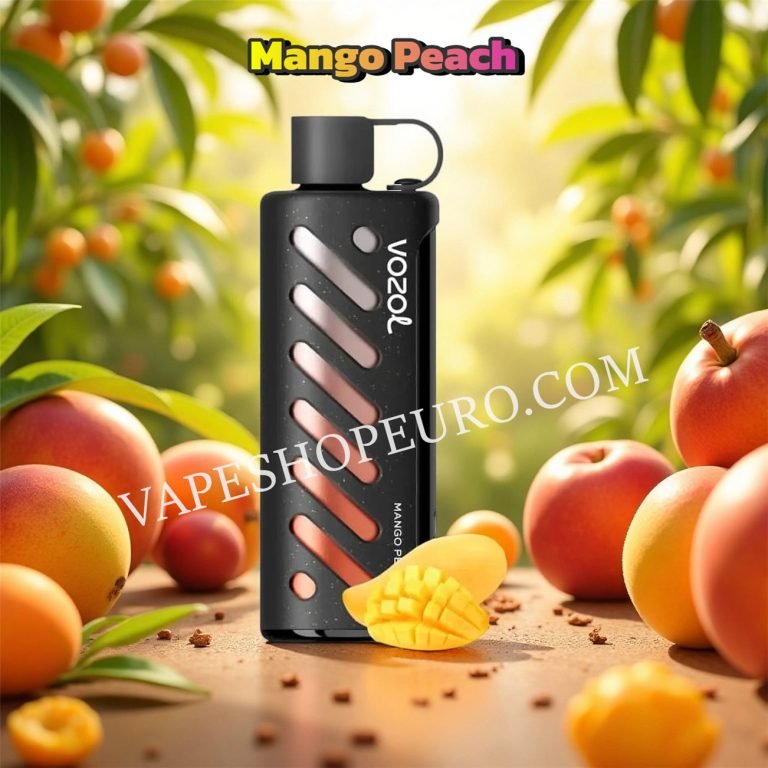 Mango Peach Vozol Gear Shisha 25000 Vsedehhvgs25000
