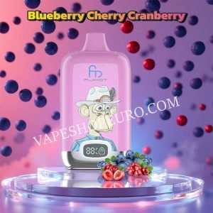 Blueberry Cherry Cranberry 12k Fumot Digital Box Randm Tornado 12000 Vsedehhrt12000n2
