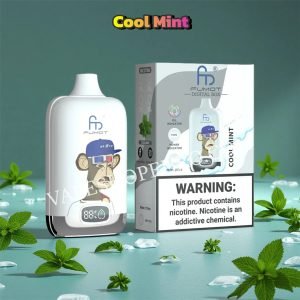 Cool Mint 12k Fumot Digital Box Randm Tornado 12000 Vsedehhrt12000n2