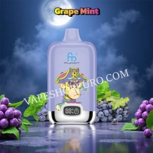 Grape Mint 12k Fumot Digital Box Randm Tornado 12000 Vsedehhrt12000n2